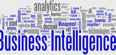 tipologie business intelligence